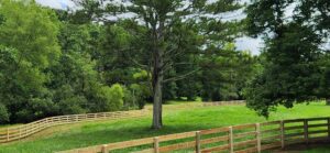 Beautiful 4-rail farm fence curving through a pasture in North Ga., installed by Peachtree Fence & Gates